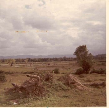 Rice paddies in background after night ambush