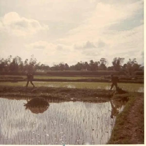 Soldiers crossing rice paddies far apart for safety